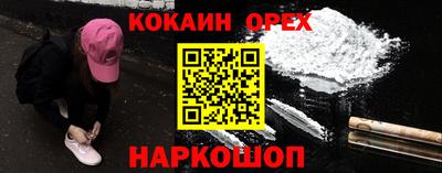 шишки Можга