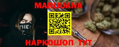 шишки Можга