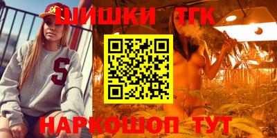 шишки Можга