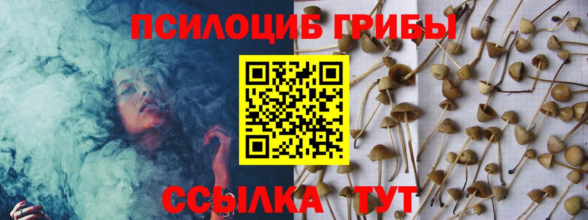 Шебекино  Псилоцибиновые грибы Psilocybe  Вход с VPN  Галлюциногенные грибы Cubensis 